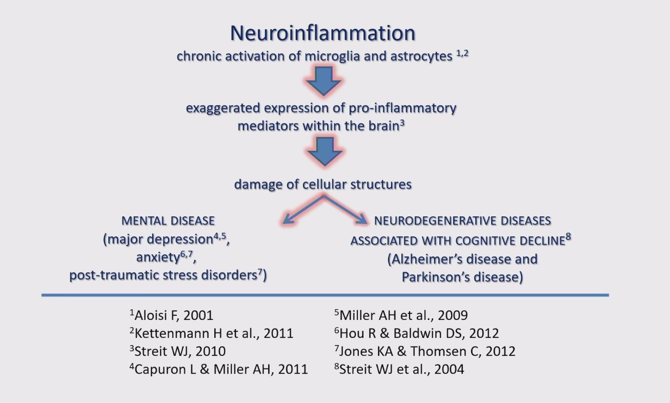 Irregolarità mestruali: il ruolo della contraccezione dopo i 40 anni